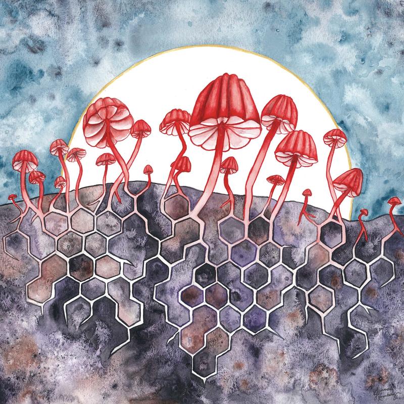 Red mushrooms with honeycomb-shaped roots, blue sky, and dark colored ground.