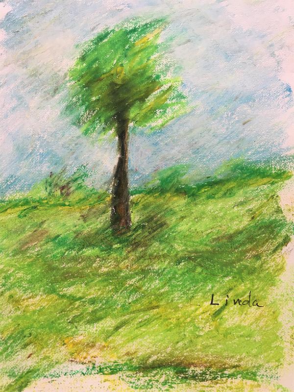 As the trees reach their peak — the beauty of the moment — the winds begin to sweep away. Before fall comes firmly planted in the ground they dance in tune to the winds — they are Wind Swept — they dance in harmony to nature