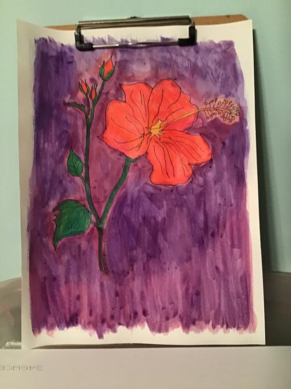 Red hibiscus