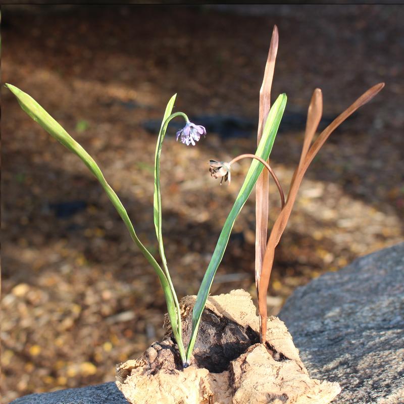 Chased copper depicting two Scilla flowers. One flower featuring green patinated leaves with a blue blossom the other leaves and flower in natural copper. The Scilla are planted in a knotty Oak base.