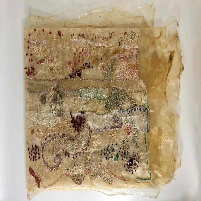 Silk thread stitched on a substrate that I created from animal membrane (gut) and used dryer sheets; intuitively stiched on various days to represent my mood. First page of 4 pages.