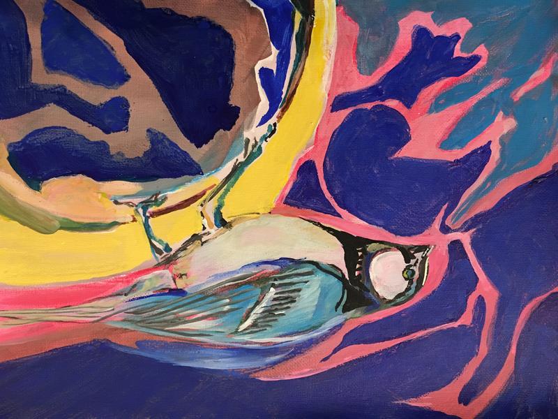 A bird about to launch off of the Earth into a space of power images