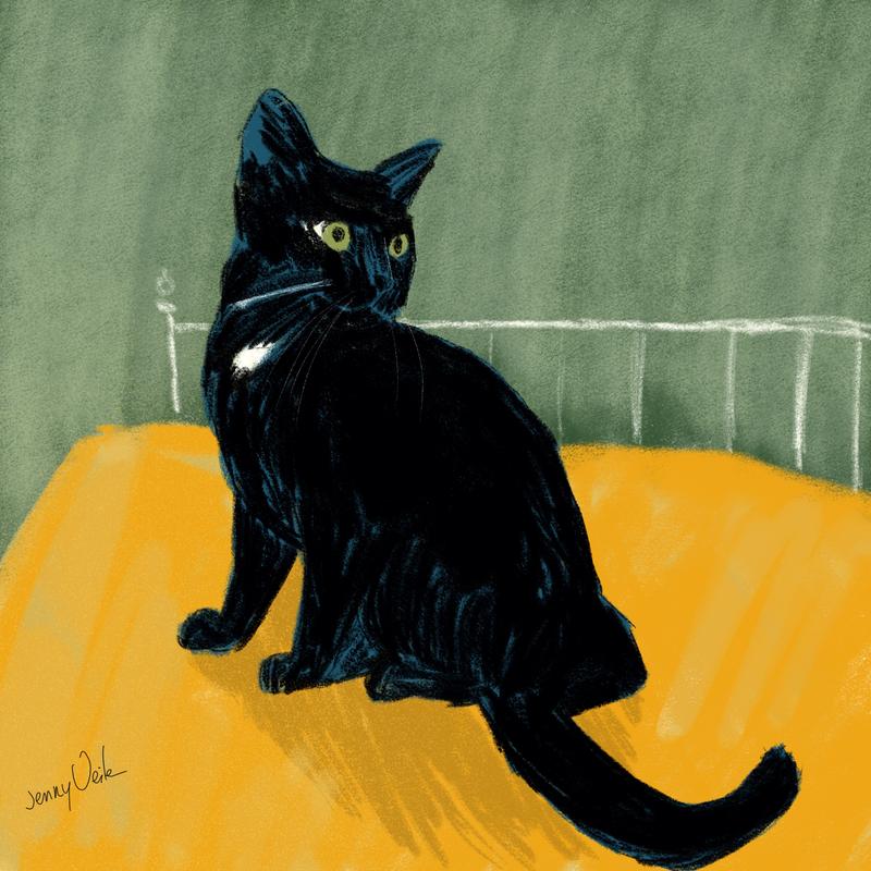 digital painting of a black cat on a bed with a yellow bedspread and green walls